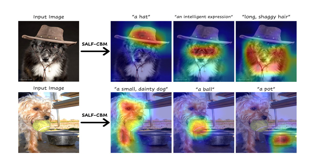 Explainable AI